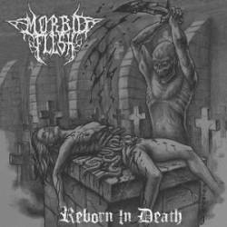 Morbid Flesh : Reborn in Death